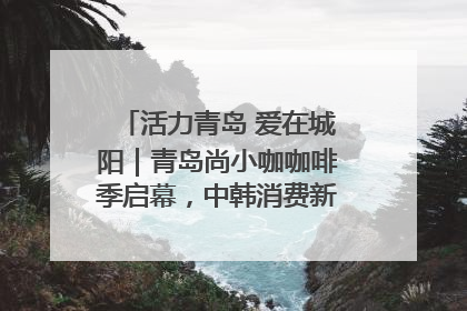 活力青岛 爱在城阳｜青岛尚小咖咖啡季启幕，中韩消费新场景点燃夏日热情